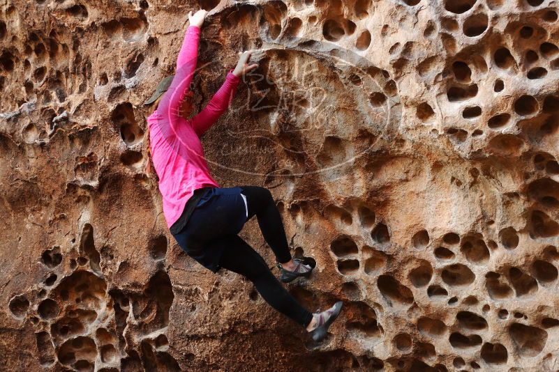 

Filename: SRM_20180126_1552430.jpg
Aperture: f/2.8
Shutter Speed: 1/160
Body: Canon EOS-1D Mark II
Lens: Canon EF 50mm f/1.8 II