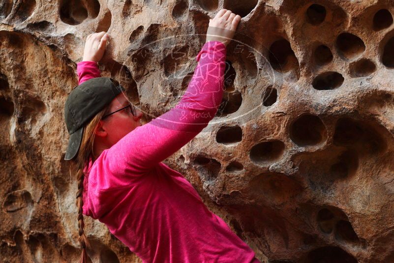 

Filename: SRM_20180126_1553050.jpg
Aperture: f/3.5
Shutter Speed: 1/160
Body: Canon EOS-1D Mark II
Lens: Canon EF 50mm f/1.8 II