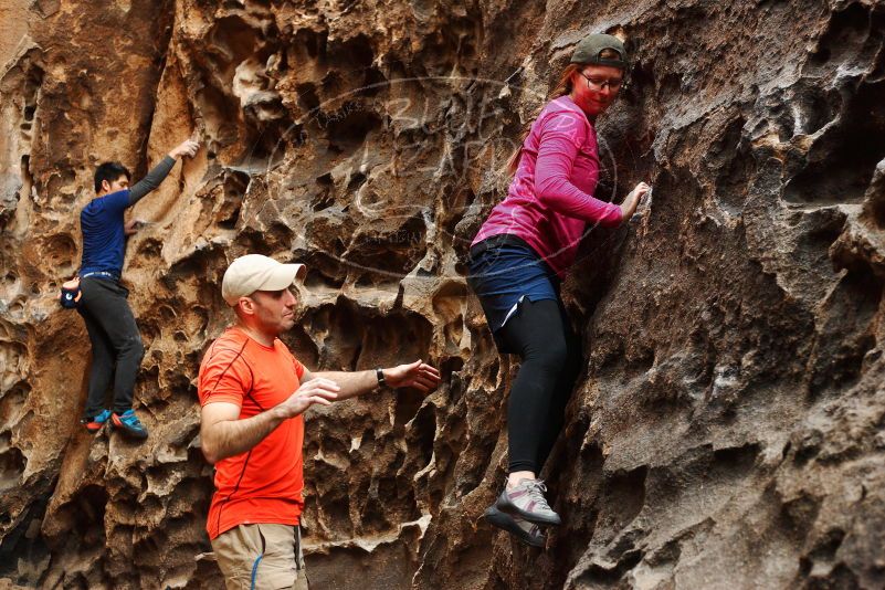 

Filename: SRM_20180126_1601050.jpg
Aperture: f/3.5
Shutter Speed: 1/160
Body: Canon EOS-1D Mark II
Lens: Canon EF 50mm f/1.8 II