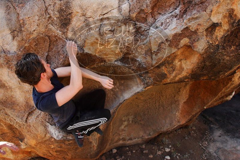 

Filename: SRM_20180126_1126550.jpg
Aperture: f/5.6
Shutter Speed: 1/250
Body: Canon EOS-1D Mark II
Lens: Canon EF 16-35mm f/2.8 L