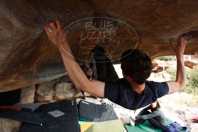 

Filename: SRM_20180126_1449260.jpg
Aperture: f/5.6
Shutter Speed: 1/250
Body: Canon EOS-1D Mark II
Lens: Canon EF 16-35mm f/2.8 L