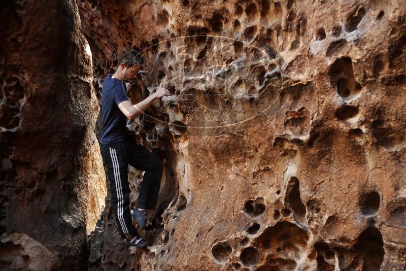 

Filename: SRM_20180126_1546350.jpg
Aperture: f/2.5
Shutter Speed: 1/160
Body: Canon EOS-1D Mark II
Lens: Canon EF 50mm f/1.8 II