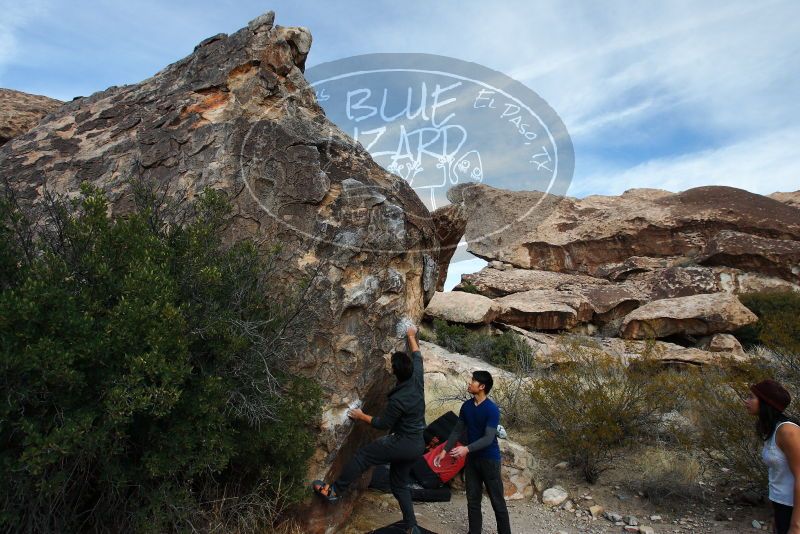 

Filename: SRM_20180126_1047160.jpg
Aperture: f/6.3
Shutter Speed: 1/250
Body: Canon EOS-1D Mark II
Lens: Canon EF 16-35mm f/2.8 L