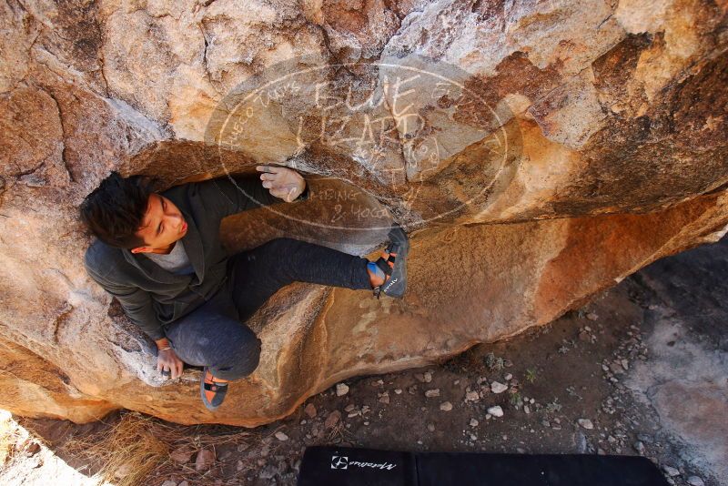 

Filename: SRM_20180126_1129550.jpg
Aperture: f/5.0
Shutter Speed: 1/250
Body: Canon EOS-1D Mark II
Lens: Canon EF 16-35mm f/2.8 L