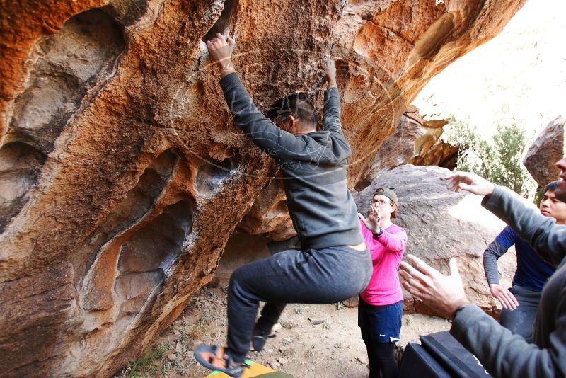 

Filename: SRM_20180126_1141350.jpg
Aperture: f/4.0
Shutter Speed: 1/250
Body: Canon EOS-1D Mark II
Lens: Canon EF 16-35mm f/2.8 L