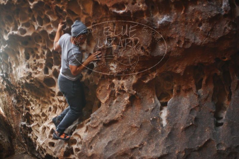 

Filename: SRM_20180126_1546250.jpg
Aperture: f/1.8
Shutter Speed: 1/160
Body: Canon EOS-1D Mark II
Lens: Canon EF 50mm f/1.8 II