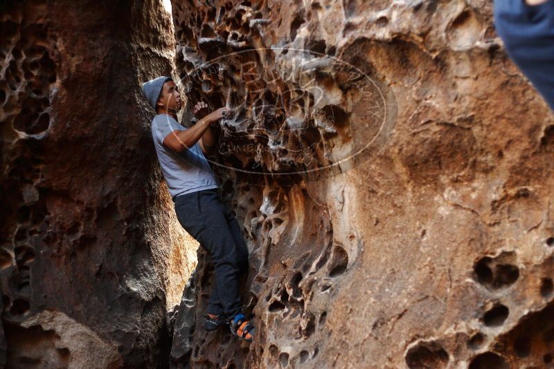 

Filename: SRM_20180126_1547031.jpg
Aperture: f/2.2
Shutter Speed: 1/160
Body: Canon EOS-1D Mark II
Lens: Canon EF 50mm f/1.8 II