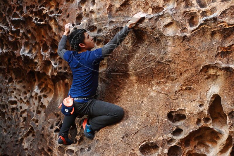 

Filename: SRM_20180126_1550250.jpg
Aperture: f/2.5
Shutter Speed: 1/160
Body: Canon EOS-1D Mark II
Lens: Canon EF 50mm f/1.8 II