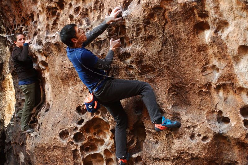 

Filename: SRM_20180126_1550580.jpg
Aperture: f/2.2
Shutter Speed: 1/160
Body: Canon EOS-1D Mark II
Lens: Canon EF 50mm f/1.8 II