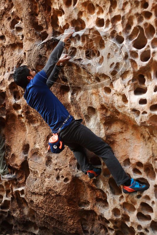 

Filename: SRM_20180126_1551310.jpg
Aperture: f/2.5
Shutter Speed: 1/160
Body: Canon EOS-1D Mark II
Lens: Canon EF 50mm f/1.8 II