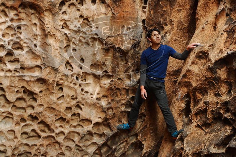 

Filename: SRM_20180126_1559590.jpg
Aperture: f/4.0
Shutter Speed: 1/160
Body: Canon EOS-1D Mark II
Lens: Canon EF 50mm f/1.8 II