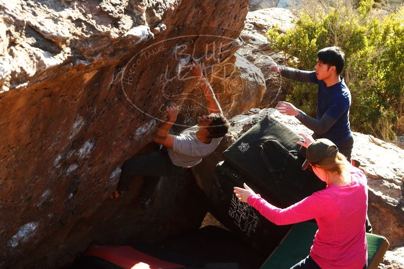 

Filename: SRM_20180126_1732360.jpg
Aperture: f/5.6
Shutter Speed: 1/250
Body: Canon EOS-1D Mark II
Lens: Canon EF 50mm f/1.8 II