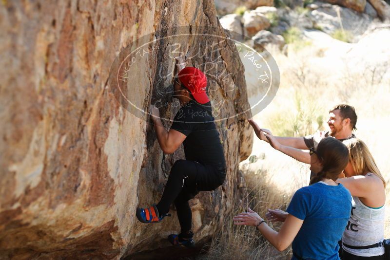 

Filename: SRM_20180204_1355410.jpg
Aperture: f/2.8
Shutter Speed: 1/320
Body: Canon EOS-1D Mark II
Lens: Canon EF 50mm f/1.8 II