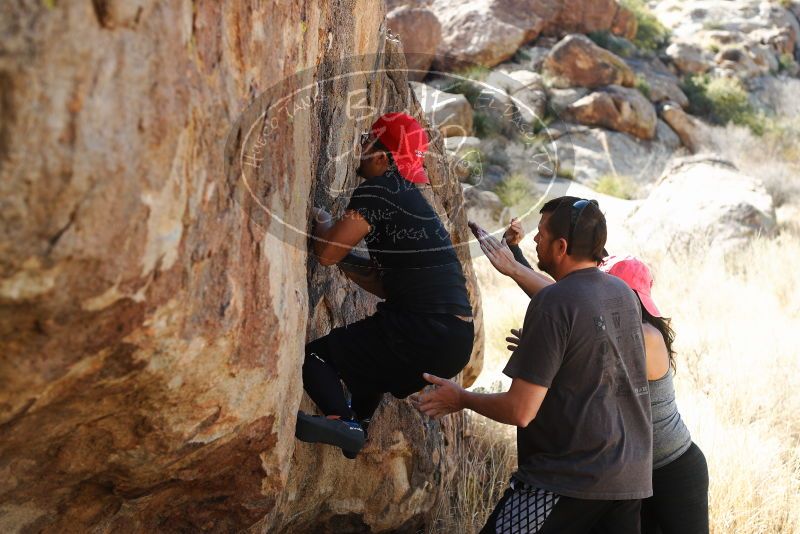 

Filename: SRM_20180204_1417340.jpg
Aperture: f/4.0
Shutter Speed: 1/160
Body: Canon EOS-1D Mark II
Lens: Canon EF 50mm f/1.8 II