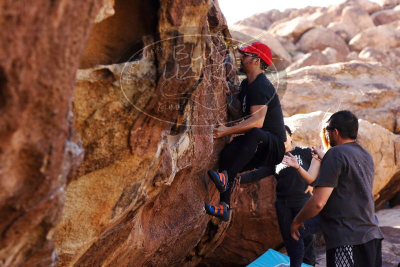 

Filename: SRM_20180204_1456040.jpg
Aperture: f/4.0
Shutter Speed: 1/320
Body: Canon EOS-1D Mark II
Lens: Canon EF 85mm f/1.2 L II