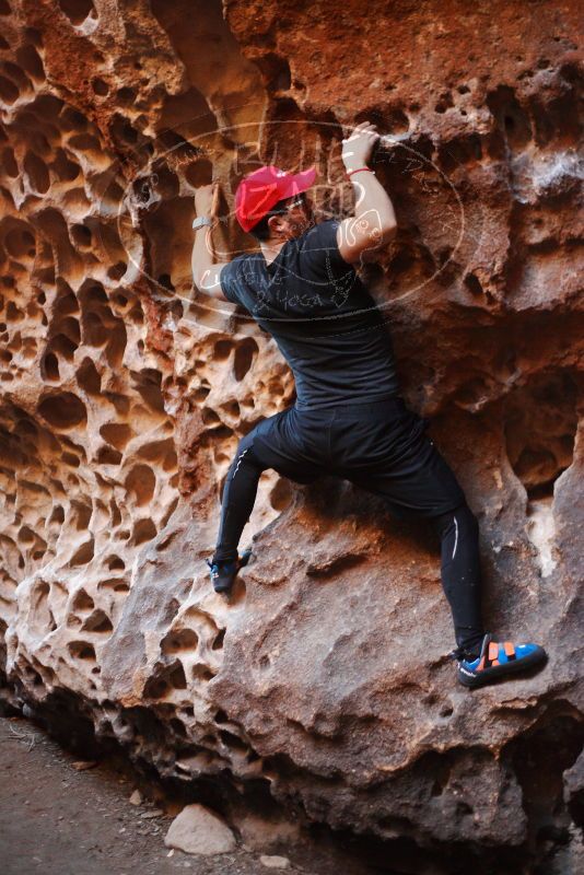 

Filename: SRM_20180204_1609450.jpg
Aperture: f/2.0
Shutter Speed: 1/100
Body: Canon EOS-1D Mark II
Lens: Canon EF 50mm f/1.8 II