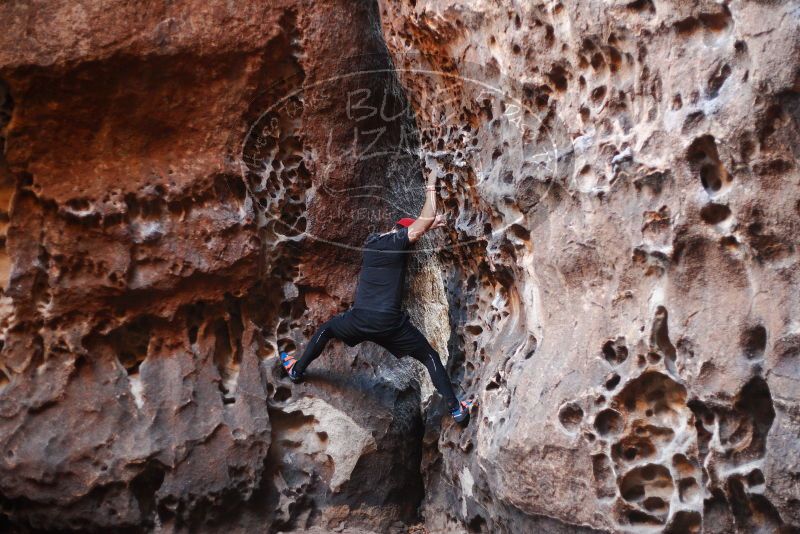 

Filename: SRM_20180204_1610290.jpg
Aperture: f/2.0
Shutter Speed: 1/125
Body: Canon EOS-1D Mark II
Lens: Canon EF 50mm f/1.8 II