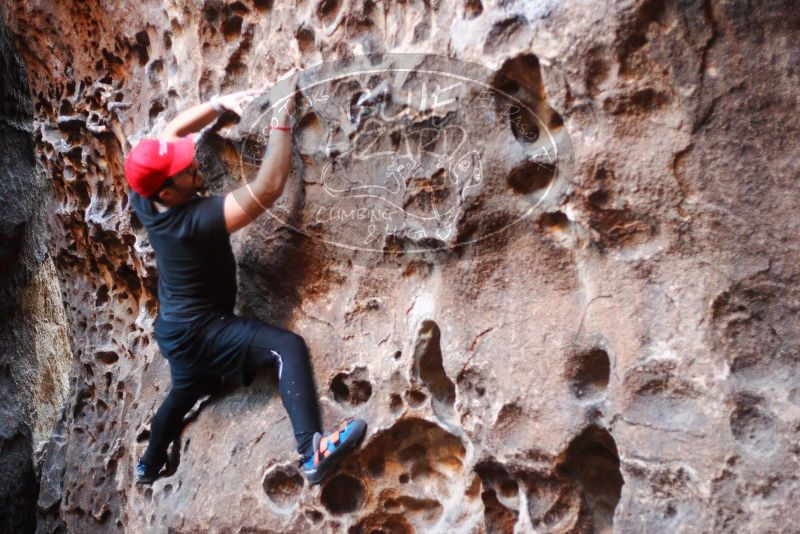 

Filename: SRM_20180204_1611050.jpg
Aperture: f/2.0
Shutter Speed: 1/100
Body: Canon EOS-1D Mark II
Lens: Canon EF 50mm f/1.8 II