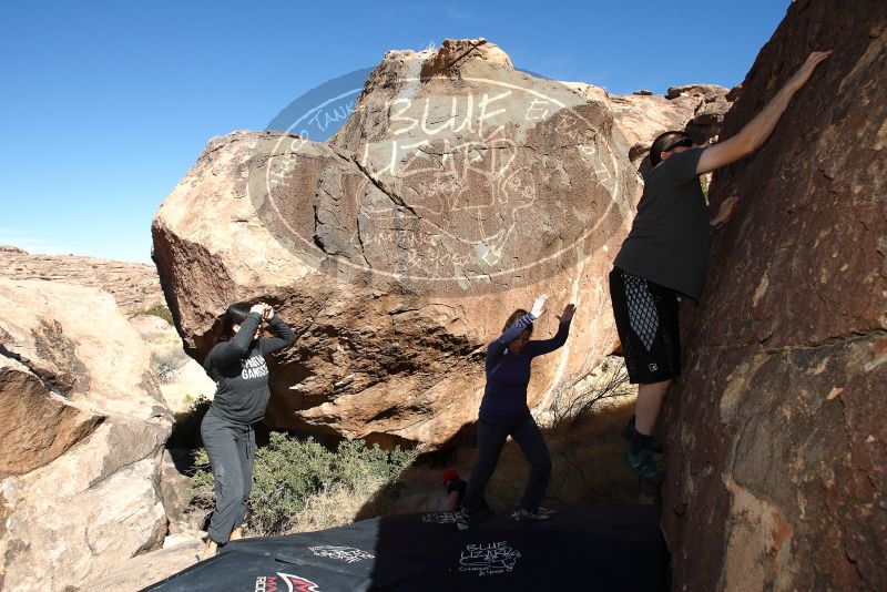 

Filename: SRM_20180204_1201440.jpg
Aperture: f/6.3
Shutter Speed: 1/250
Body: Canon EOS-1D Mark II
Lens: Canon EF 16-35mm f/2.8 L