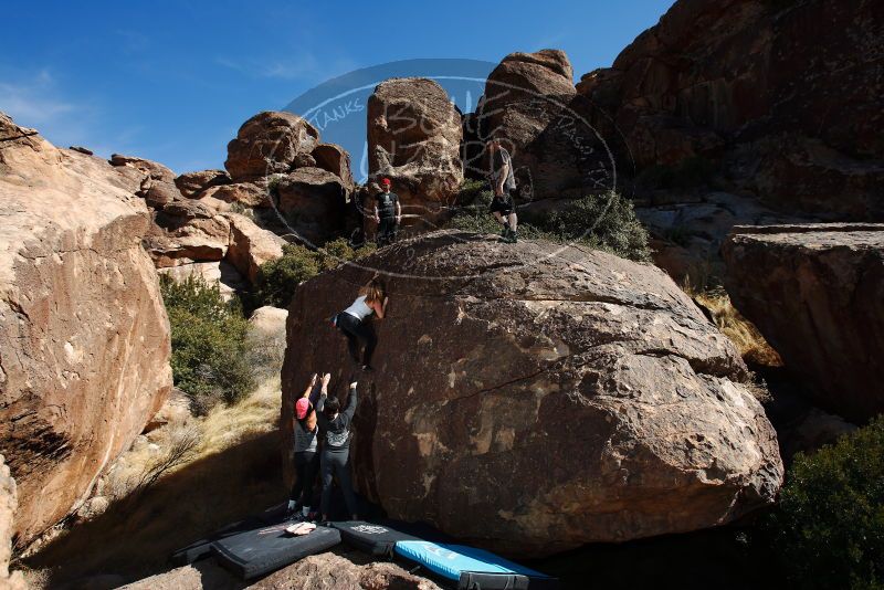 

Filename: SRM_20180204_1216340.jpg
Aperture: f/5.6
Shutter Speed: 1/250
Body: Canon EOS-1D Mark II
Lens: Canon EF 16-35mm f/2.8 L