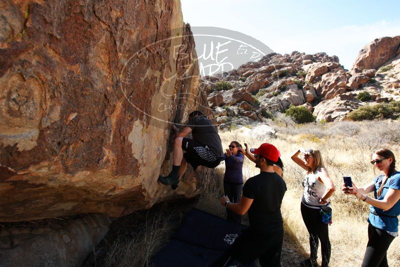 

Filename: SRM_20180204_1347070.jpg
Aperture: f/5.6
Shutter Speed: 1/250
Body: Canon EOS-1D Mark II
Lens: Canon EF 16-35mm f/2.8 L