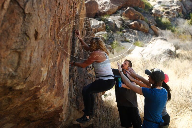 

Filename: SRM_20180204_1404300.jpg
Aperture: f/4.0
Shutter Speed: 1/320
Body: Canon EOS-1D Mark II
Lens: Canon EF 50mm f/1.8 II