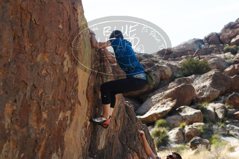 

Filename: SRM_20180204_1411380.jpg
Aperture: f/4.0
Shutter Speed: 1/500
Body: Canon EOS-1D Mark II
Lens: Canon EF 50mm f/1.8 II