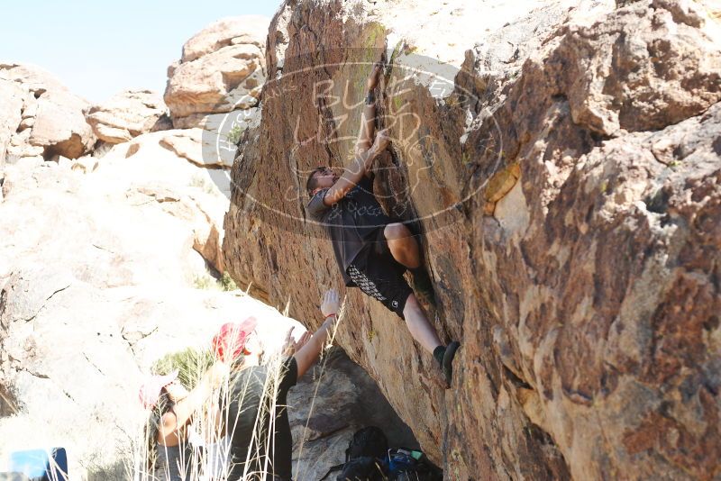 

Filename: SRM_20180204_1414330.jpg
Aperture: f/4.0
Shutter Speed: 1/320
Body: Canon EOS-1D Mark II
Lens: Canon EF 50mm f/1.8 II