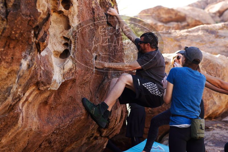 

Filename: SRM_20180204_1459241.jpg
Aperture: f/4.0
Shutter Speed: 1/320
Body: Canon EOS-1D Mark II
Lens: Canon EF 85mm f/1.2 L II