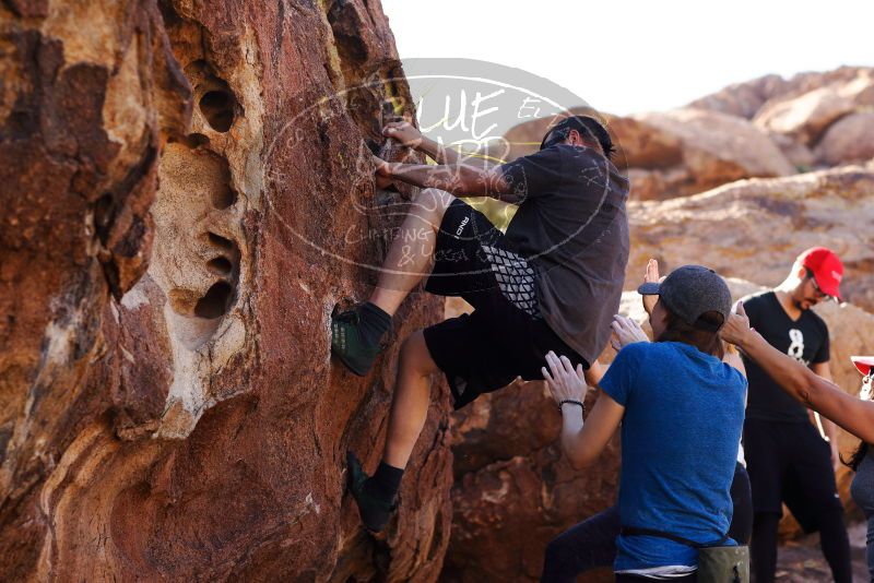 

Filename: SRM_20180204_1459310.jpg
Aperture: f/4.0
Shutter Speed: 1/400
Body: Canon EOS-1D Mark II
Lens: Canon EF 85mm f/1.2 L II