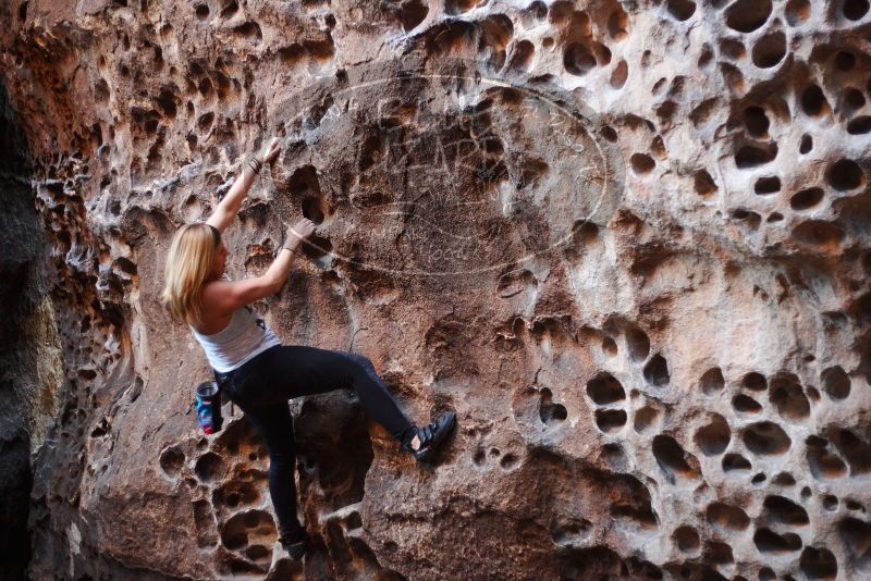 

Filename: SRM_20180204_1602100.jpg
Aperture: f/2.0
Shutter Speed: 1/200
Body: Canon EOS-1D Mark II
Lens: Canon EF 50mm f/1.8 II