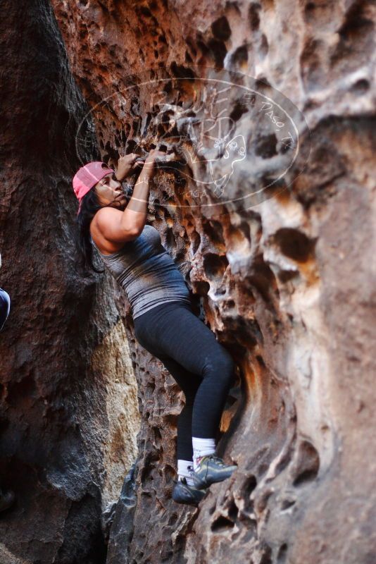 

Filename: SRM_20180204_1607461.jpg
Aperture: f/2.0
Shutter Speed: 1/160
Body: Canon EOS-1D Mark II
Lens: Canon EF 50mm f/1.8 II