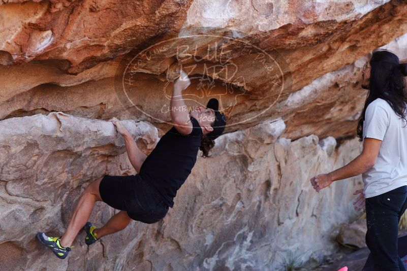 

Filename: SRM_20180209_1108470.jpg
Aperture: f/4.0
Shutter Speed: 1/320
Body: Canon EOS-1D Mark II
Lens: Canon EF 85mm f/1.2 L II