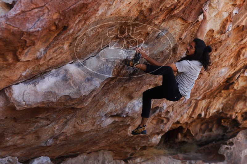 

Filename: SRM_20180209_1119381.jpg
Aperture: f/4.0
Shutter Speed: 1/640
Body: Canon EOS-1D Mark II
Lens: Canon EF 85mm f/1.2 L II