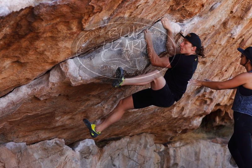 

Filename: SRM_20180209_1122000.jpg
Aperture: f/4.0
Shutter Speed: 1/500
Body: Canon EOS-1D Mark II
Lens: Canon EF 85mm f/1.2 L II