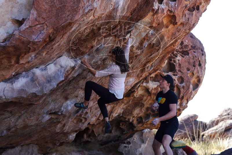 

Filename: SRM_20180209_1124161.jpg
Aperture: f/4.0
Shutter Speed: 1/1250
Body: Canon EOS-1D Mark II
Lens: Canon EF 85mm f/1.2 L II