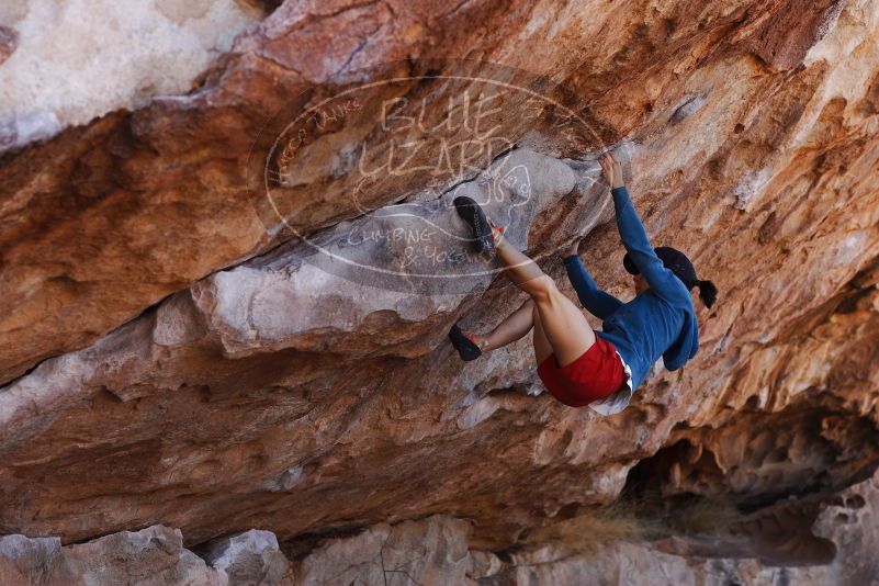 

Filename: SRM_20180209_1128290.jpg
Aperture: f/4.0
Shutter Speed: 1/640
Body: Canon EOS-1D Mark II
Lens: Canon EF 85mm f/1.2 L II