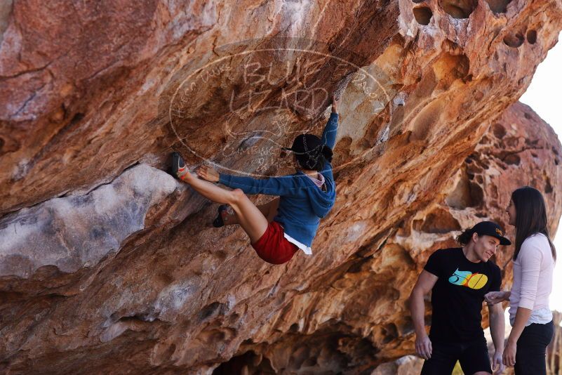 

Filename: SRM_20180209_1129050.jpg
Aperture: f/4.0
Shutter Speed: 1/640
Body: Canon EOS-1D Mark II
Lens: Canon EF 85mm f/1.2 L II