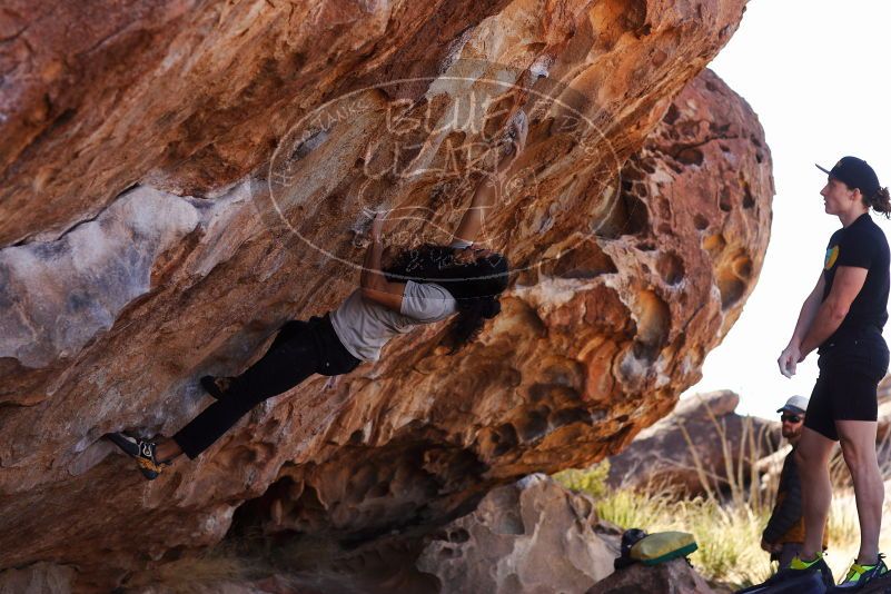 

Filename: SRM_20180209_1135180.jpg
Aperture: f/4.0
Shutter Speed: 1/1000
Body: Canon EOS-1D Mark II
Lens: Canon EF 85mm f/1.2 L II