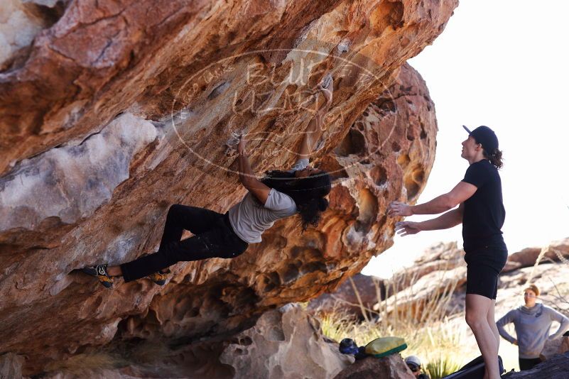 

Filename: SRM_20180209_1137010.jpg
Aperture: f/4.0
Shutter Speed: 1/800
Body: Canon EOS-1D Mark II
Lens: Canon EF 85mm f/1.2 L II