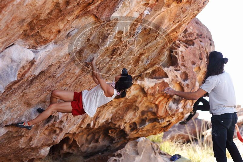 

Filename: SRM_20180209_1141530.jpg
Aperture: f/4.0
Shutter Speed: 1/500
Body: Canon EOS-1D Mark II
Lens: Canon EF 85mm f/1.2 L II