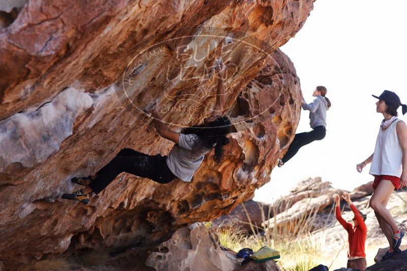 

Filename: SRM_20180209_1144410.jpg
Aperture: f/4.0
Shutter Speed: 1/800
Body: Canon EOS-1D Mark II
Lens: Canon EF 85mm f/1.2 L II