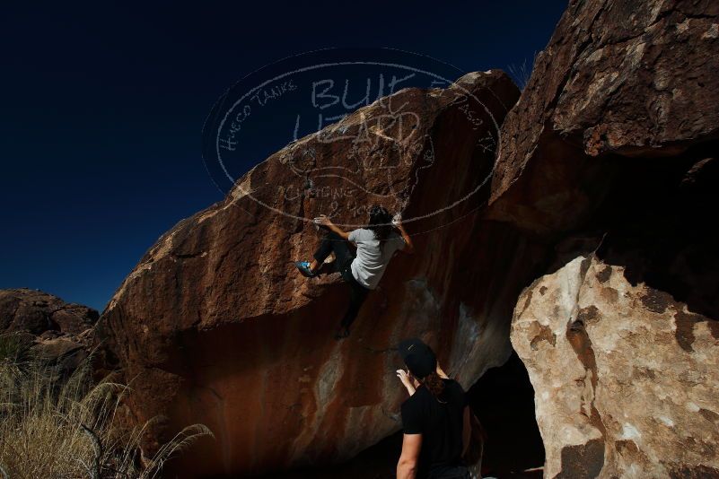 

Filename: SRM_20180209_1220200.jpg
Aperture: f/8.0
Shutter Speed: 1/250
Body: Canon EOS-1D Mark II
Lens: Canon EF 16-35mm f/2.8 L