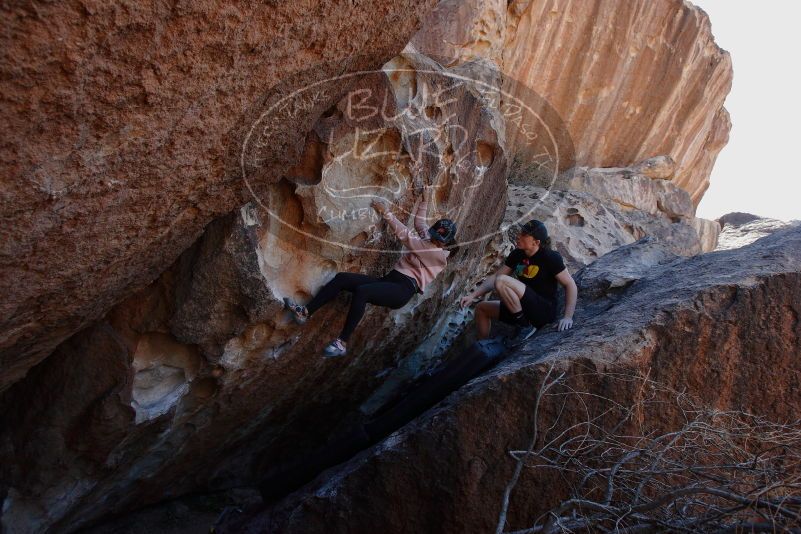 

Filename: SRM_20180209_1247180.jpg
Aperture: f/6.3
Shutter Speed: 1/250
Body: Canon EOS-1D Mark II
Lens: Canon EF 16-35mm f/2.8 L