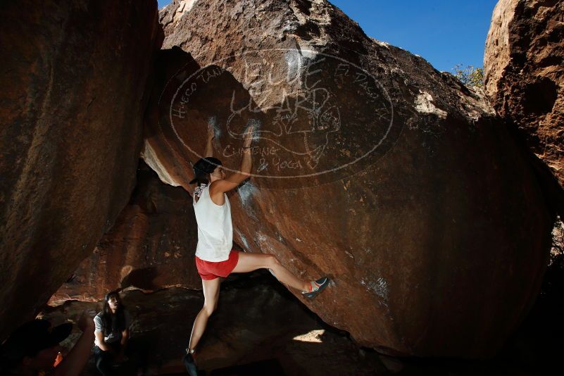 

Filename: SRM_20180209_1335200.jpg
Aperture: f/8.0
Shutter Speed: 1/250
Body: Canon EOS-1D Mark II
Lens: Canon EF 16-35mm f/2.8 L