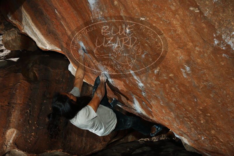 

Filename: SRM_20180209_1347540.jpg
Aperture: f/8.0
Shutter Speed: 1/320
Body: Canon EOS-1D Mark II
Lens: Canon EF 16-35mm f/2.8 L