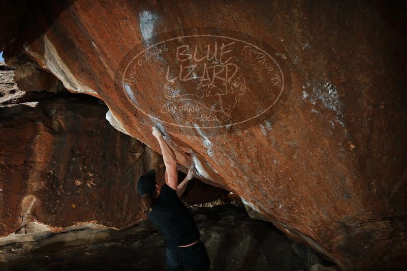 

Filename: SRM_20180209_1349200.jpg
Aperture: f/8.0
Shutter Speed: 1/320
Body: Canon EOS-1D Mark II
Lens: Canon EF 16-35mm f/2.8 L