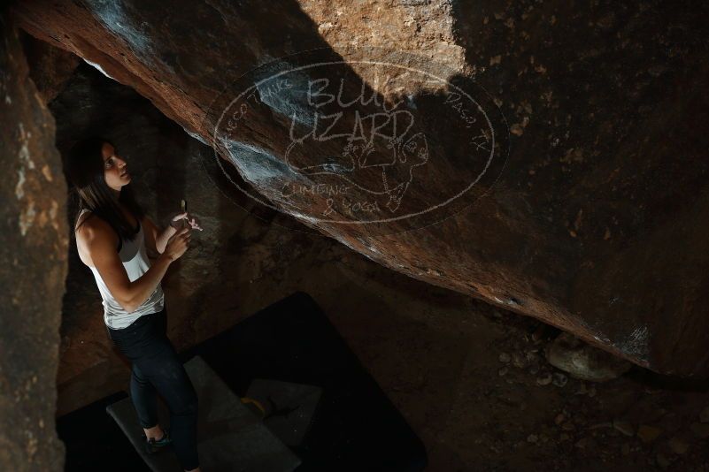 

Filename: SRM_20180209_1352030.jpg
Aperture: f/8.0
Shutter Speed: 1/320
Body: Canon EOS-1D Mark II
Lens: Canon EF 50mm f/1.8 II