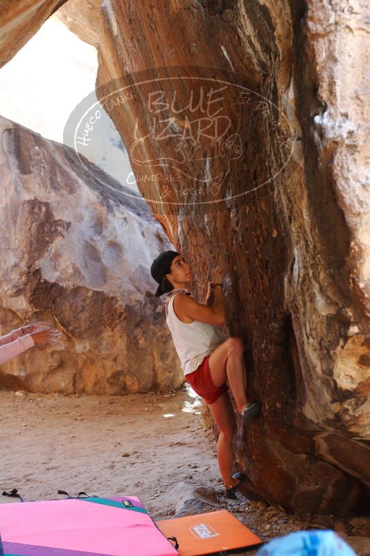 

Filename: SRM_20180209_1407590.jpg
Aperture: f/3.2
Shutter Speed: 1/250
Body: Canon EOS-1D Mark II
Lens: Canon EF 50mm f/1.8 II