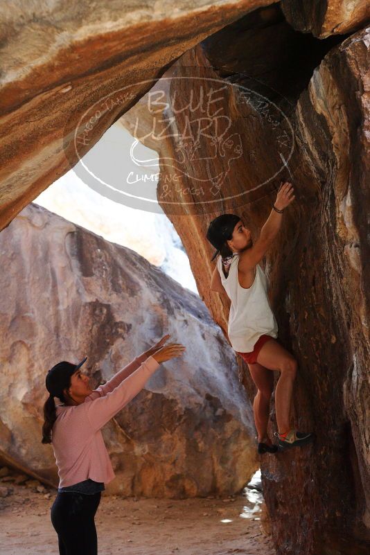 

Filename: SRM_20180209_1408180.jpg
Aperture: f/4.0
Shutter Speed: 1/250
Body: Canon EOS-1D Mark II
Lens: Canon EF 50mm f/1.8 II